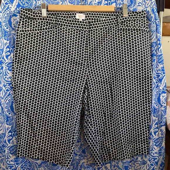 Laundry by Shelly Siegel Polkadot size 12 shorts - Picture 2 of 7
